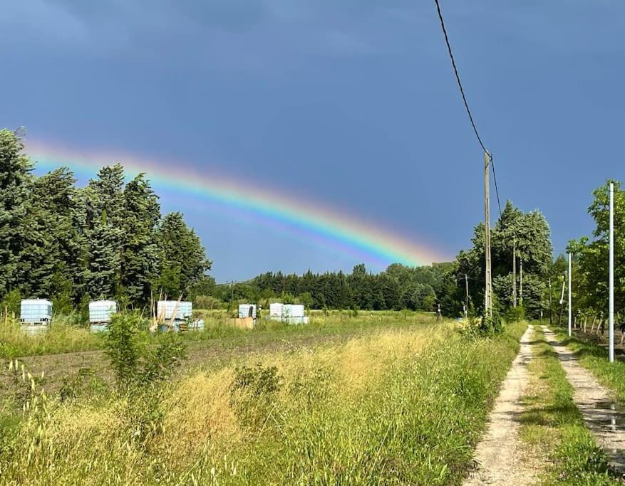 7 Rayons Βίλα Αβινιόν Εξωτερικό φωτογραφία